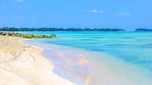 Immagine dell'articolo