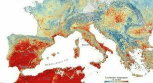 Immagine dell'articolo