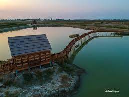 Immagine dell'articolo