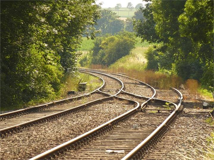 Immagine dell'articolo