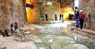 Immagine dell'articolo