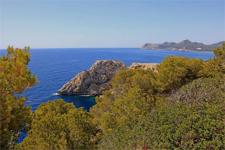 Immagine dell'articolo