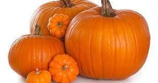 Immagine dell'articolo