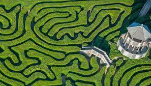 Immagine dell'articolo