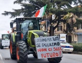 Immagine dell'articolo