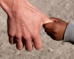 Immagine dell'articolo
