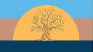 Immagine dell'articolo