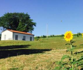 Immagine dell'articolo