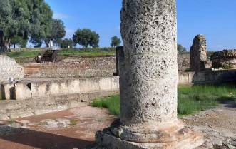 Immagine dell'articolo