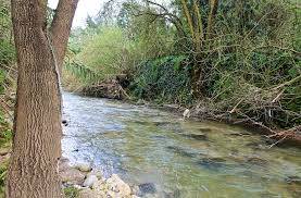 Immagine dell'articolo