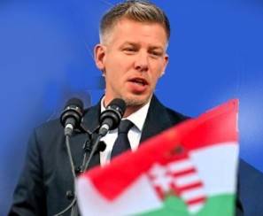 Immagine dell'articolo