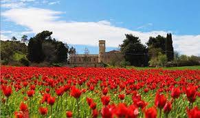 Immagine dell'articolo