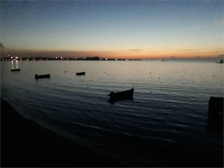 Immagine dell'articolo