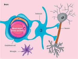Immagine dell'articolo