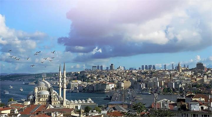 Immagine dell'articolo