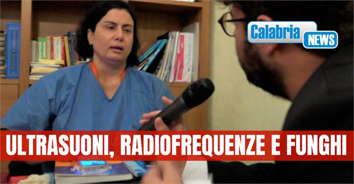 Immagine dell'articolo