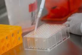 Immagine dell'articolo