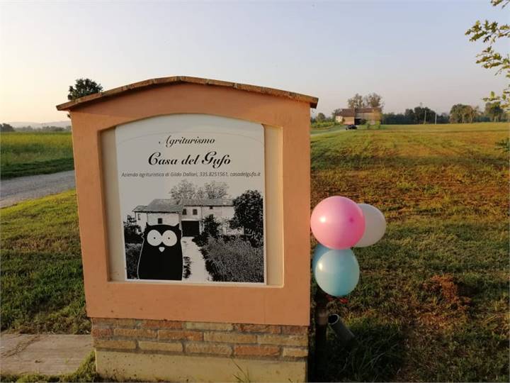 Immagine dell'articolo